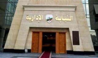 لخريجي جامعة أسيوط.. سحب ملفات وظيفة مندوب مساعد بالنيابة الإدارية اليوم