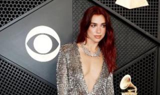 دوا ليبا ومايلي سايروس وبيلي إيليش.. جميلات الجرامي الـ66 "صور وفيديو"