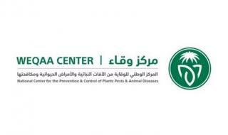 السعودية | “وقاء” يعلن عن إلزامية الحصول على تصريح تنقل الخيل المُشاركة بكأس السعودية 2024 عبر منصة “نما”