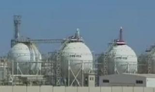 انتهاء تنفيذ مشروع إنتاج الألواح الخشبية متوسطة الكثافة "MDF" قريبا
