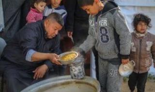 مديرة الأغذية العالمى تحذر: سكان غزة يتضورون جوعا حتى الموت