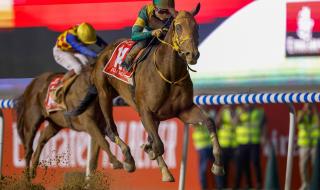 الامارات | كأس دبي العالمي.. مواعيد السباقات وأقوى الخيول المرشحة