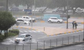 «بلدية أبوظبي» تتعامل مع بلاغات تجمع مياه الأمطار