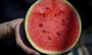 كنز مخفي في ثمرة البطيخ: اكتشف 5 فوائد مذهلة لبذوره!