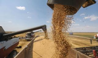 روسيا تدمر منشآت أوكرانية لتخزين المحاصيل الزراعية