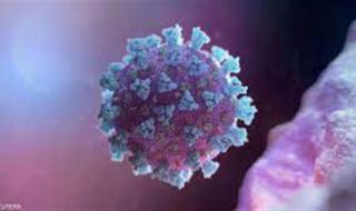 دراسة جديدة تكشف تأثير فيروس كورونا على الأطفال