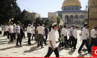 875 مستوطنًا اقتحموا المسجد الأقصى في اليوم الثاني من عيد الفصح اليهودي
