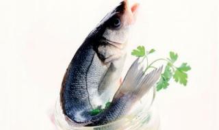 الامارات | فوائد تناول الأسماك الزيتية للصحة