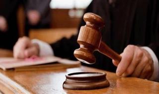 نظر محاكمة 14 متهما في قضية "خلية المرج".. السبت