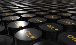 أوبك: استخدام النفط سيستمر في الارتفاع خلال العقود المقبلة