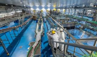 شركات أغذية سعودية تتجه إلى تعزيز الأمن الغذائي