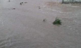 الخليج اليوم .. اليمن.. وفاة وإصابة 40 شخصاً بسبب الأمطار والسيول في المهرة