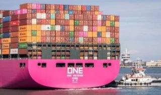 ميناء دمياط يستقبل 11 سفينة على متنها 48 ألفا و54 طن بضائع