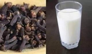 وصفة سحرية.. ضع الحليب مع القرنفل استخدامه في ساعات الصباح على الريق يصنع معجزة طبية قي جسمك