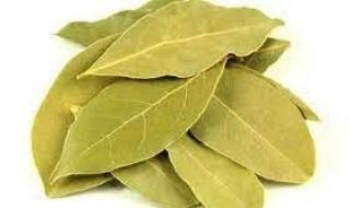 عيش الشباب في ازهى صورة .. ورق الغار تناولها بهذا الشكل وستعود إلى سن ال20 حتى لو كنت 70 سنة..معجزة ربانية