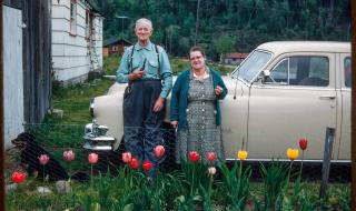 الامارات | السويد تدفع رواتب للأجداد ليقوموا برعاية أحفادهم