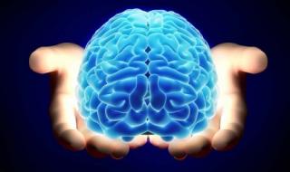 معجزة "ربانية" طعام بسيط يغذي ,,المخ ويحسن بنية الدماغ ويقوي الذاكرة خلال وقت قصير"احرص عليه"!