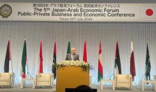أبو الغيط: العلاقات العربية اليابانية حاضرة باستمرار في أعمال مجالس وهيئات الجامعة العربية