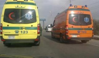 انقلاب قطار بضائع في البدرشين.. وإصابة 3