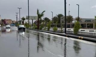 العقيل: موجة باردة نهاية الأسبوع وتوقعات الطقس عبر التطبيقات غير دقيقة .. فيديو