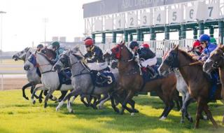 الامارات | 1.86 مليون درهم جوائز كأس أبوظبي الذهبي للخيول