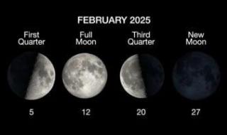 تكنولوجيا: نصف القمر يضىء السماء الليلة