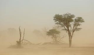 الأماكن والمواعيد.. أتربة مثارة وأمطار خفيفة على أجزاء من الرياض