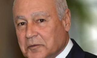 اليابان تمنح أحمد أبو الغيط وسام الشمس تقديرا لإسهاماته فى تعزيز العلاقات