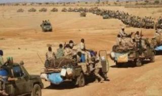 الفاو: 80% من القوة العاملة في السودان يعملون في الزراعة والرعي