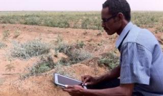 الفاو تطلق حملة لتوزيع البذور الطارئة لـ7.5 مليون شخص فى السودان