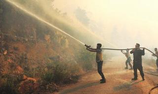 سوريا.. استمرار جهود إخماد الحرائق لليوم التاسع