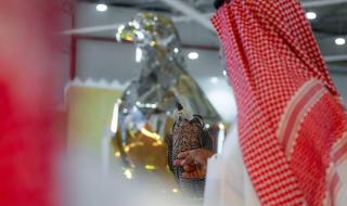 انطلاق معرض الصقور والصيد السعودي الدولي 2025 بأكثر من 23 فعالية.. ومشاركة دولية واسعة