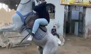 شاهد بالصورة والفيديو.. فتاة سودانية تظهر براعة كبيرة في ركوب الخيل بمصر وتنال إعجاب جمهور مواقع التواصل ببلادها
