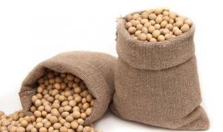 أسعار الصويا تواصل مكاسبها محققةً أعلى مستوى في 15 شهرًا