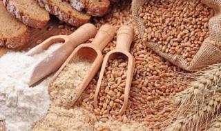 موجة مبيعات مكثفة في أسواق الحبوب تدفع القمح للهبوط بأكثر من 3%