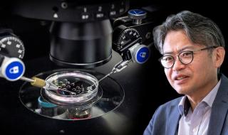 اليابان | بين الحلم والخطر: هل تقودنا الخلايا الجذعية المستحثة إلى شبابٍ جديد أم نحو السرطان؟