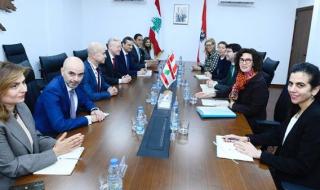 النمسا: مستعدون لدعم الجيش اللبناني