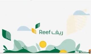 طريقة التسجيل في دعم ريف والشروط المطلوبة للحصول على الدعم