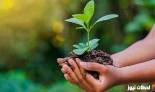 معلومات عن اليوم العالمي للتطوع في السعودية