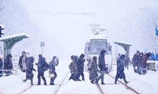 عاصفة ثلجية تقطع الكهرباء عن 200 ألف منزل في رومانيا