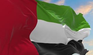 بيان مشترك لدول ومنظمات إسلامية وعربية تُدين تصريحات السفير الأميركي