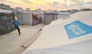 الجامعة العربية تدعو إلى مواصلة دعم «الأونروا»