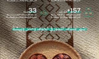 حلوة الجوف وحائل وصفري بيشة.. أصناف تمور محلية تتألـق في شهـر رمضان