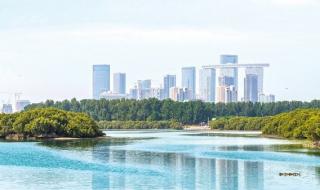 الإمارات.. ريادة مستدامة في إدارة المياه