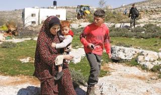 مبادرة فلسطينية لإعادة زراعة أراضي غزة ومواجهة الغلاء