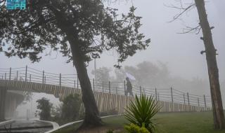 الحالة المطرية تعلق الدراسة الحضورية في بعض الجامعات ومدارس التعليم العام