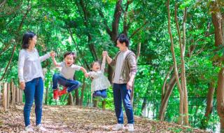 اليابان | ما هو الأسبوع الذهبي في اليابان ولماذا ينتظره الجميع؟