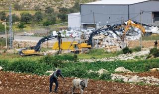 مسؤولة فلسطينية لـ«الاتحاد»: 95% من الأراضي الزراعية فــي غزة متضررة بشدة