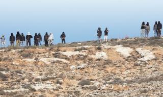 مستوطنون يقطعون مئات الأشجار المثمرة في «الظاهرية» جنوب الخليل