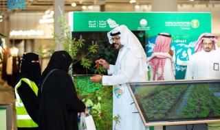 أمانة تبوك تشارك في أسبوع البيئة بمبادرات متنوعة وبرامج تعريفية